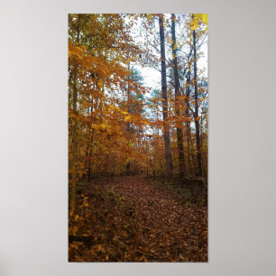 Poster Feuilles d'automne