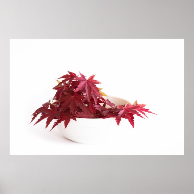 Poster Feuilles d'automne (Devant)