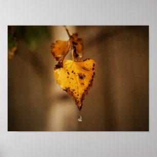 Poster Feuilles d'automne