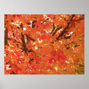 Poster Feuilles d'automne 1
