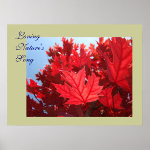 Poster Feuilles d'automne art Chant de la nature Feuilles