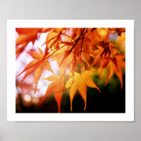 Feuilles d'automne en bois japonais