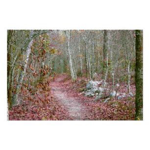 Poster Feuilles d'automne roses sentier Goat Rock Arkansa