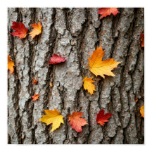 Feuilles d'automne rustiques Couleurs d'automne Éc
