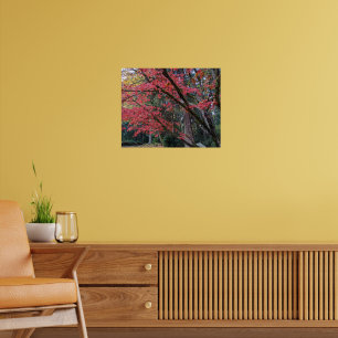 Poster Feuilles de Maple Rouges sur l'Arbre Botanique