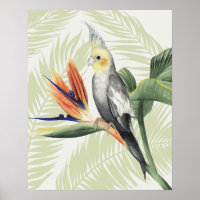 Feuilles de palmiers à oiseaux noirs