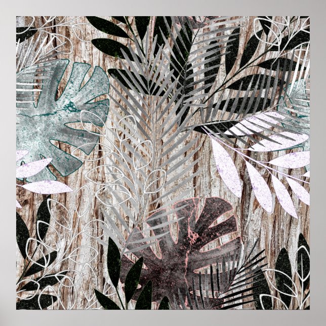 Poster Feuilles de palmiers, arbre, tropical, Botanique (Devant)