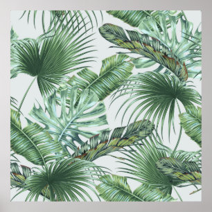 Poster Feuilles de palmiers tropicaux, monstère, feuille