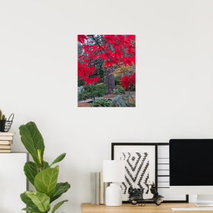 Poster Feuilles d'érable rouge dans un jardin japonais