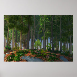 Poster Feuilles d'été