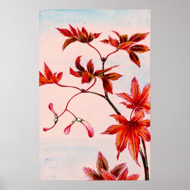 Poster Feuilles et semences de l'érable 1870 (Devant)