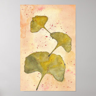Poster Feuilles Ginkgo