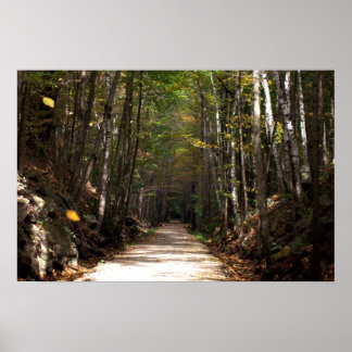 Poster Feuilles maladroits