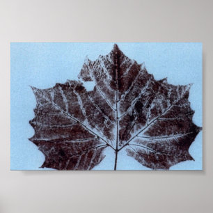 Poster Feuilles Nature Imprimer Mini-Poster