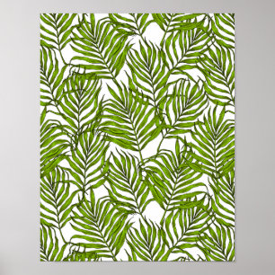 Poster Feuilles Palm
