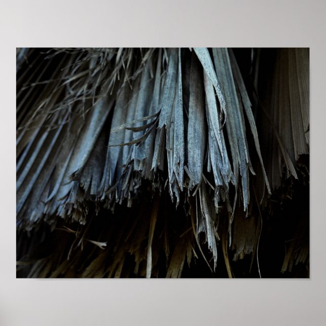 Poster Feuilles Palm Tree (Devant)