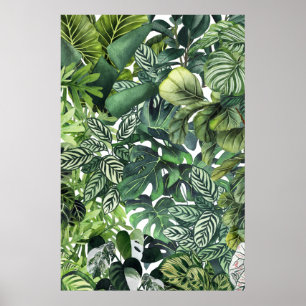 Poster feuilles plantes