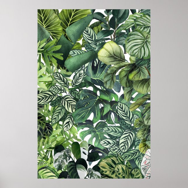 Poster feuilles plantes (Devant)