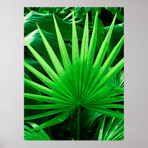 Poster Feuilles tropicaux, Moulin à vent, Vert foncé