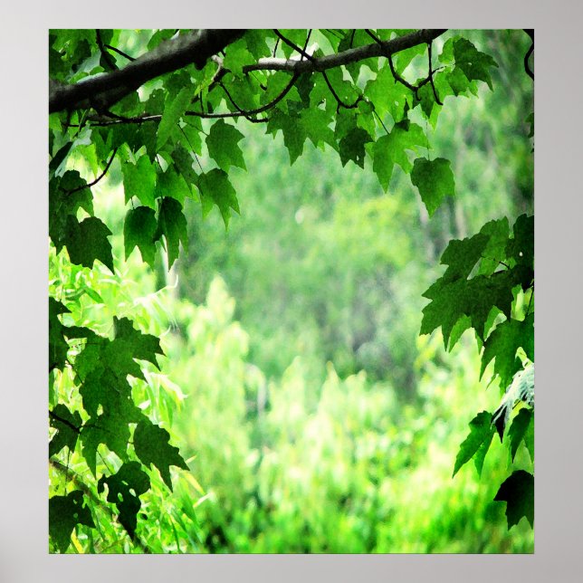 Poster Feuilles verts (Devant)