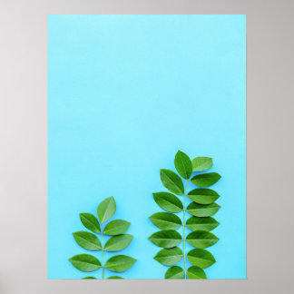 Poster Feuilles verts minimalistes sur Bleu Arrière - pla