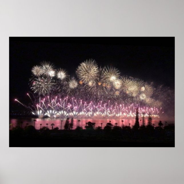 Poster Feux (Devant)