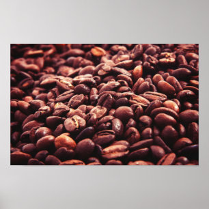 Poster Fèves de café