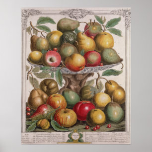 Poster Février, "Douze mois de fruits"