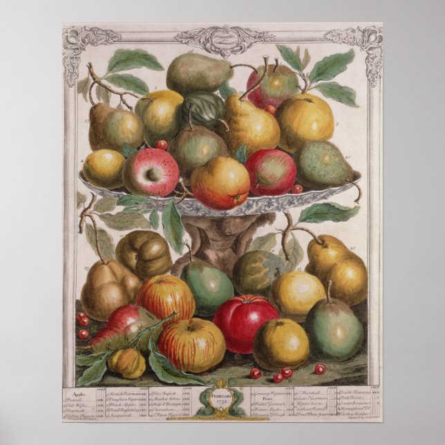 Poster Février, "Douze mois de fruits" (Devant)