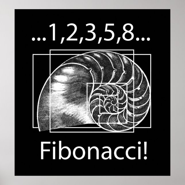 Poster Fibonacci (Devant)