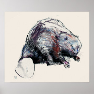 Poster Fibre 2001 de roulette