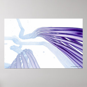 Poster Fibres nerveuses stylisées