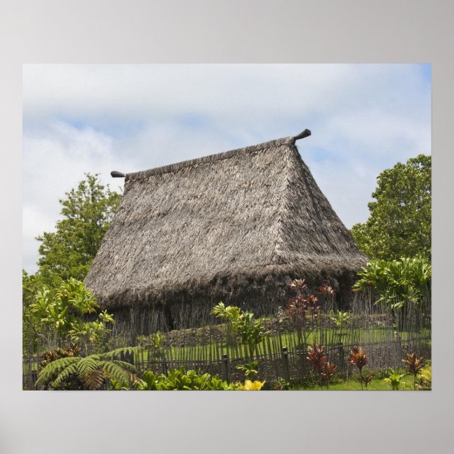 Poster Fidji, île de Viti Levu. Culture polynésienne (Devant)