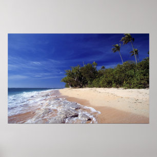 Poster Fidji, Tavarua. Cette plage de Tavarua