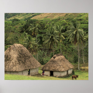 Poster Fidji, Viti Levu, Navala, maisons traditionnelles 