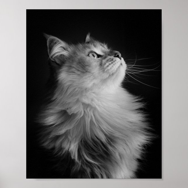 Poster Fier (Devant)