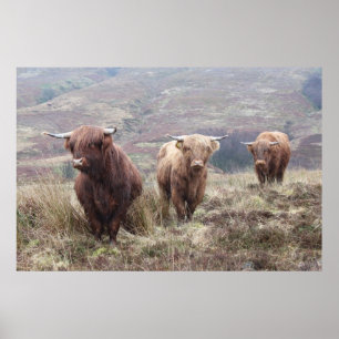 Poster Fier D'Être Écossais !