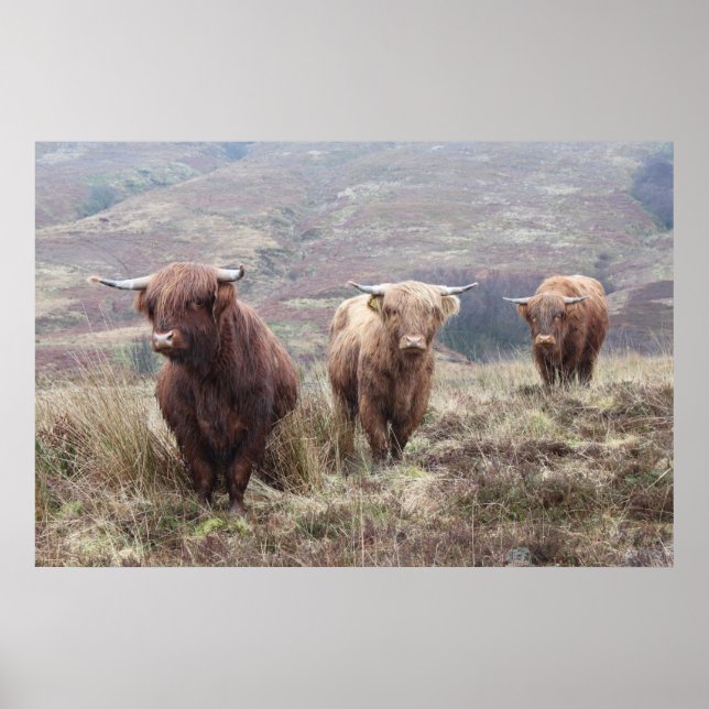 Poster Fier D'Être Écossais ! (Devant)