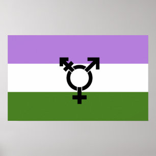 Poster Fier d'être queer - fierté queer et genre
