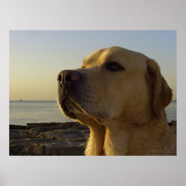 Poster Fier garçon (Devant)