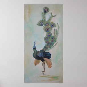 Poster Fière Comme Un Peacock Colorful Courtship Display