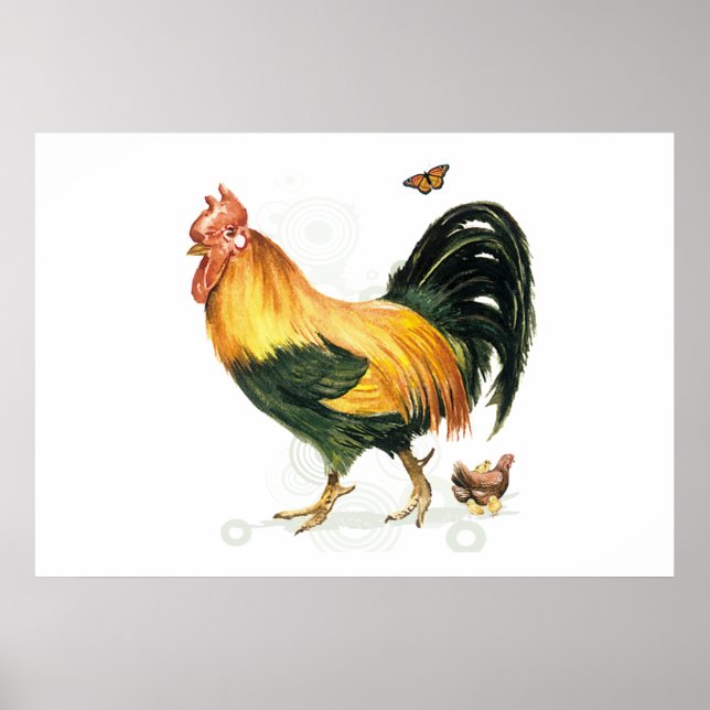 Poster Fière coq avec poules et poulets. (Devant)