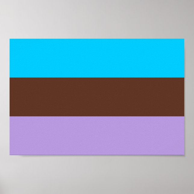 Poster Fierté androsexuelle (Devant)