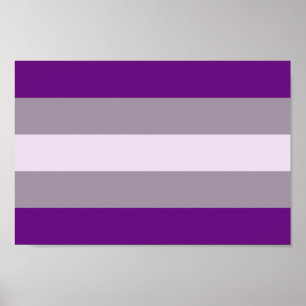 Poster Fierté grise sexuelle