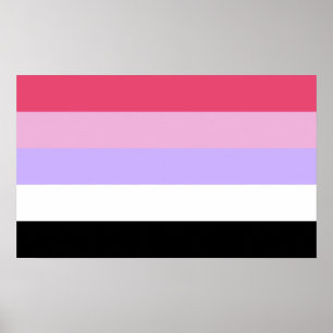 Poster Fierté réciprosexuelle