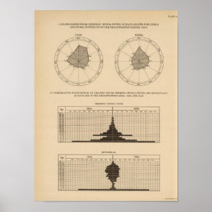 Poster Fièvre cérébro-spinale des 118 décès