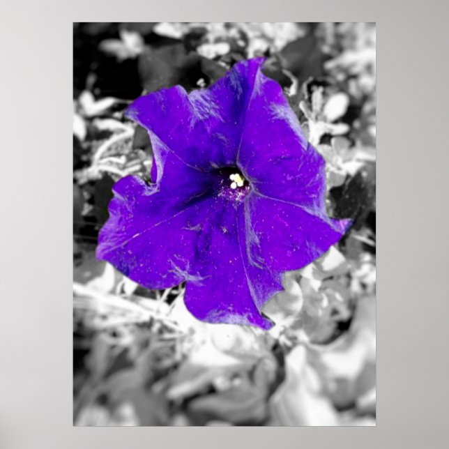 Poster Fièvre pourpre (Devant)