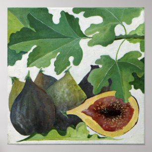 Poster Figues 2013