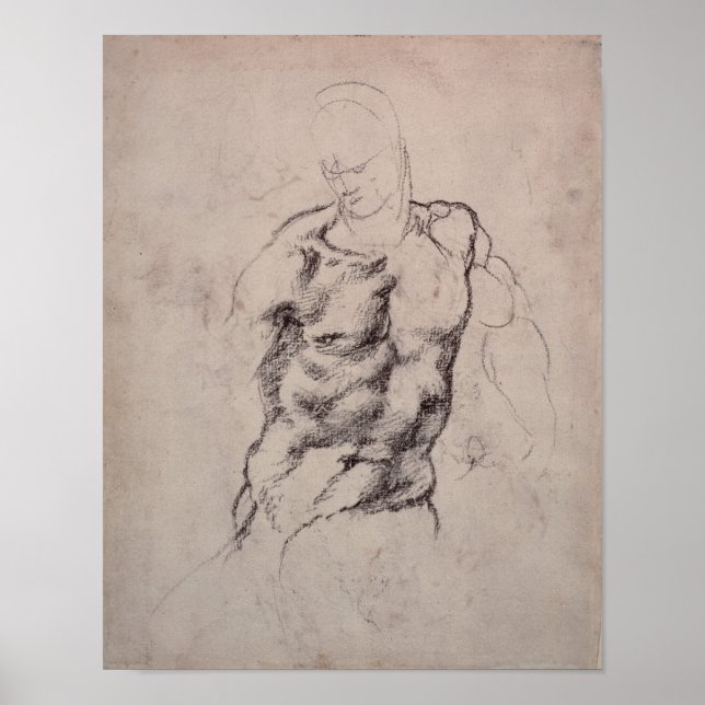 Poster Figure 2 (Devant)