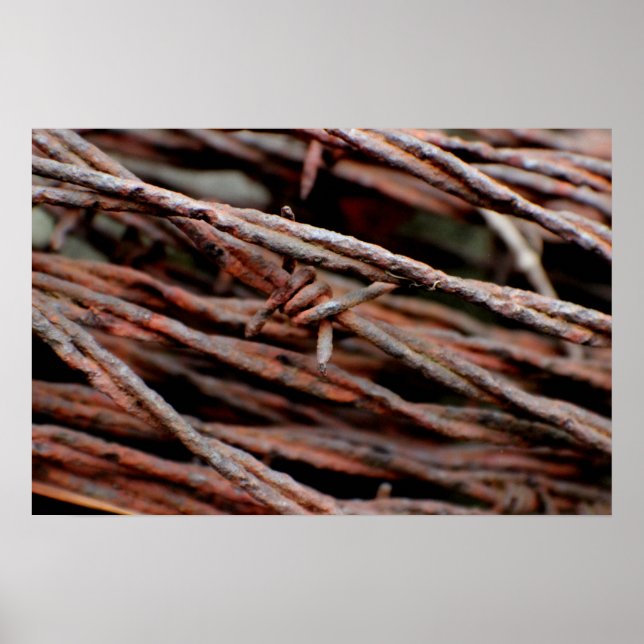 Poster Fil Barbe (Devant)
